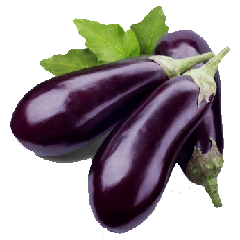 Eggplant-Free-Download-PNG